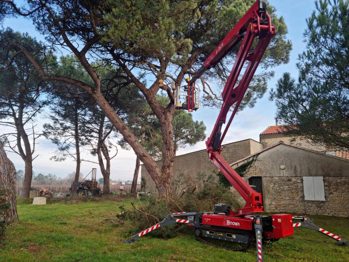 Abattage Arbre Lacanau